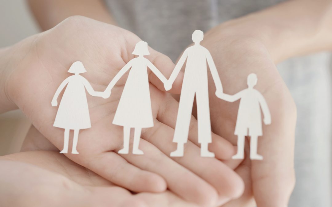 Titre ADVF (Assistante de Vie aux Familles)